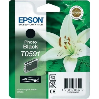 Epson T0591