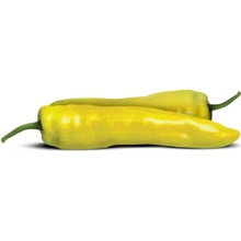 Semínka Piquant Paprička chilli GIALLO