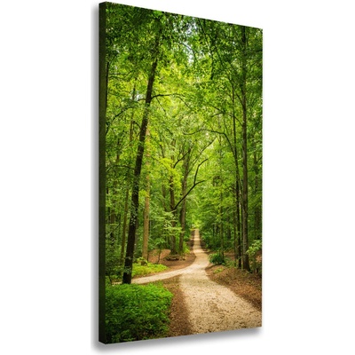 Vertikálny foto obraz na plátne Chodník v lese 50x100 cm
