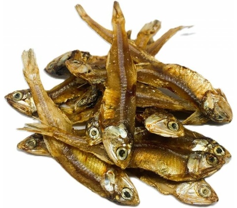 Salač Rybičky sušené 100 g