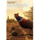 Expansive Worlds theHunter Call of the Wild Rancho del Arroyo DLC (PC)