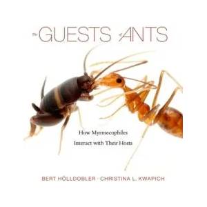 Guests of Ants | Bert Hölldobler, Christina L. Kwapich (ISBN: 9780674265516)