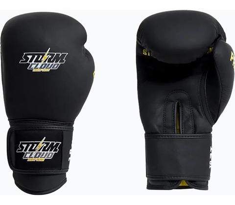 Storm Cloud Boxing Pro