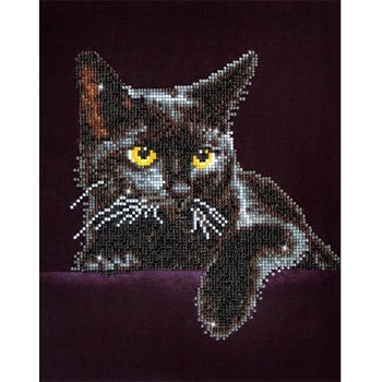 Diamond dotz Среднощно коте - диамантен гоблен dd5.001