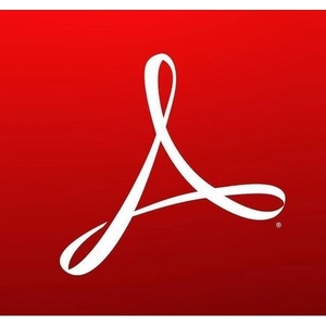 Adobe Acrobat Standard for teams, 1 user, 1 year, English | 65304886CA01A12 (65304886CA01A12)