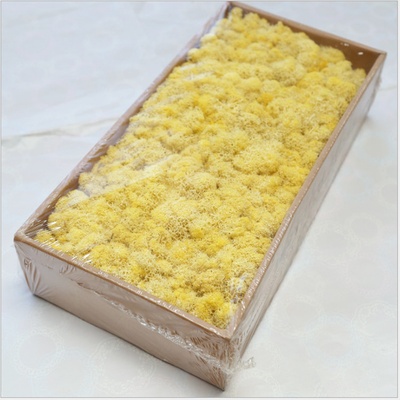 Islandský stabilizovaný, preparovaný mech 500 g žlutá