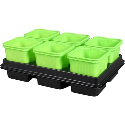NOHEL GARDEN kvetináč sadbový GREEN s podmiskou zelený 8x8x8cm