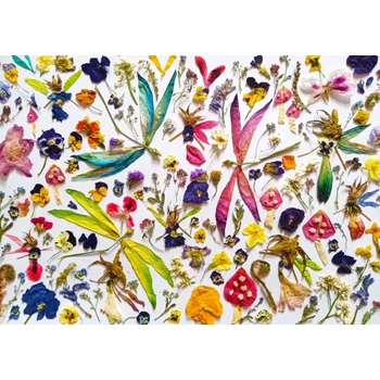 Enjoy - Puzzle Fairies and Dragonflies - 1 000 piese