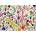 Enjoy - Puzzle Fairies and Dragonflies - 1 000 piese