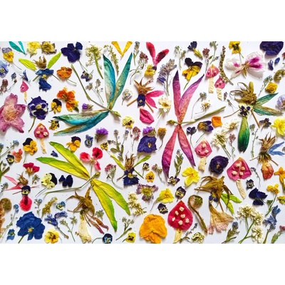 Enjoy - Puzzle Fairies and Dragonflies - 1 000 piese