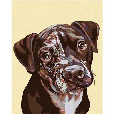 Zuty Malování podle čísel Flekaté štěně 80 x 100 cm vypnuté plátno na rám