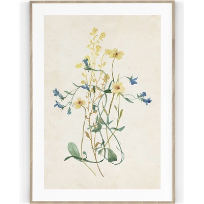 Plakát / Obraz Flowers A4 - 21 x 29,7 cm Tiskové plátno – Hledejceny.cz