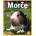 Morče