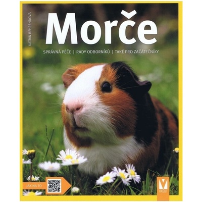 Morče