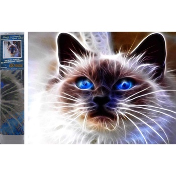 Image 1 of Norimpex - Puzzle Diamond Painting Cat magic 30x40cm - 1 - 39 piese