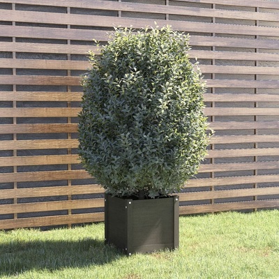 Greatstore truhlík šedý 40 x 40 x 40 cm masivní borovice