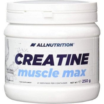 ALLNUTRITION Creatine Muscle Max 250 g