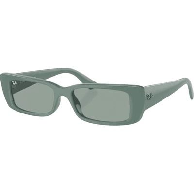 Ray-Ban Teru RB4425 676282