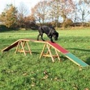 Trixie Agility lávka 456 x 64 x 30 cm do 80kg