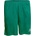 Select Player shorts Pisa zelená