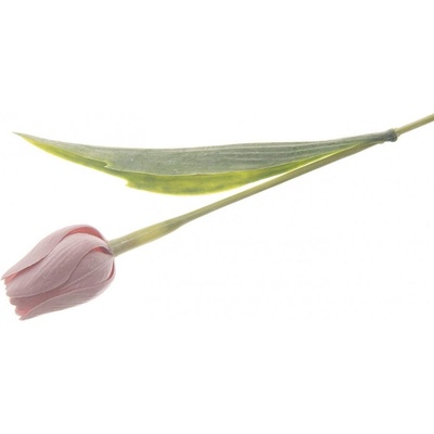 Květina UH tulipán Mauve růžový 5,5x43 cm