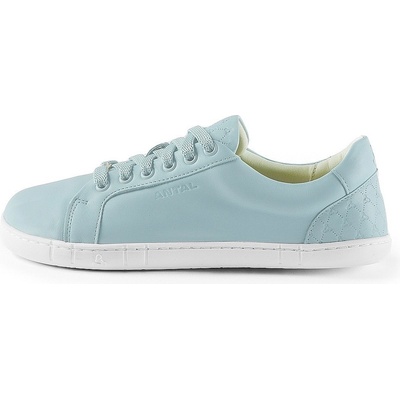 Antal Amada Sky Blue