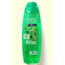 Chopa šampon Bříza 500 ml