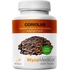 MycoMedica Coriolus Versicolor Outkovka pestrá 2 x 90 kapslí