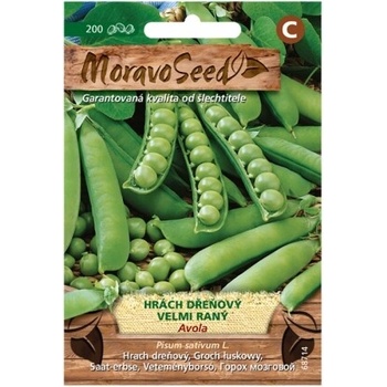 Osivo Hrach dreňový veľmi raný AVOLA 68714