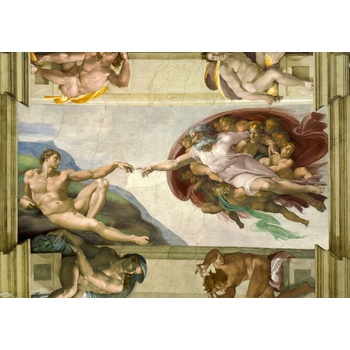 Bluebird Puzzle - Puzzle Michelangelo: The Creation of Adam - 2 000 piese