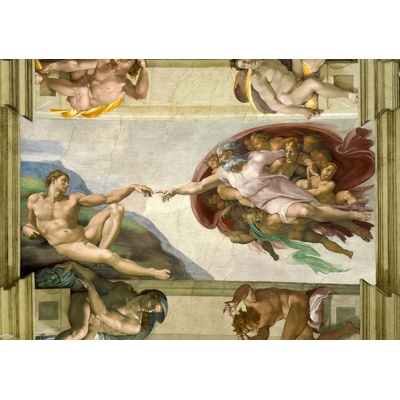 Bluebird Puzzle - Puzzle Michelangelo: The Creation of Adam - 2 000 piese
