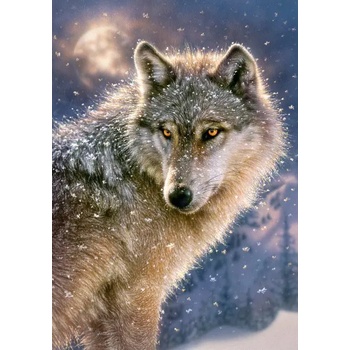 Image 1 of Castorland - Puzzle Lone Wolf - 500 piese