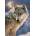 Castorland - Puzzle Lone Wolf - 500 piese