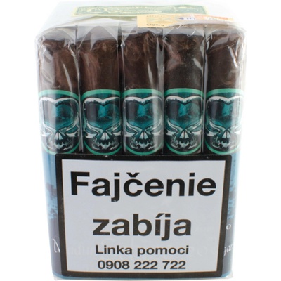 Asylum SCHIZO ROBUSTO MADURO 20 ks