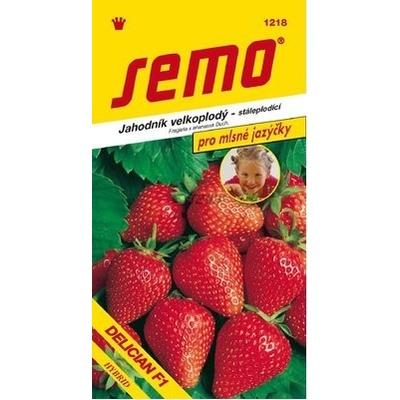 SEMO Jahodník DELICIAN F1 stáleplodící