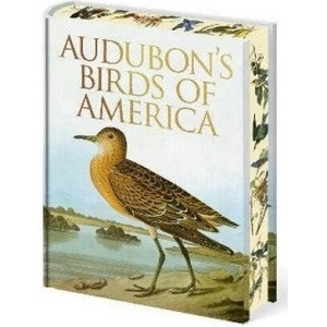 Audubon's Birds of America (2025)