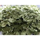 Fotka od uživatele 1 Fotka od uživatele 1