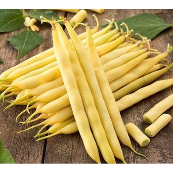 Špargľová fazuľa Basta 50 g skoré semená Polan