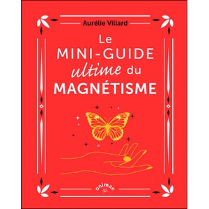 Le Mini-guide ultime du magnétisme | Villard (2024)