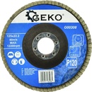 Geko G00308