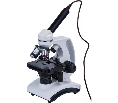 Discovery Atto Polar