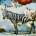 Flower Kings - Hope CD