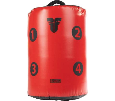 Fighter 2v1