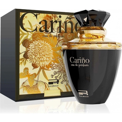 Rue Broca Carino parfémovaná voda pánská 100 ml