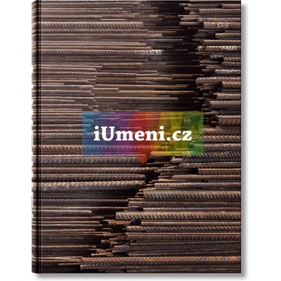 AI Weiwei