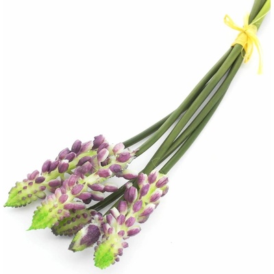 AKCIA! 24FLK01-0167 KYTICA MUSCARI VIAZ.5KS/24CM GUm