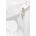 Philipp Plein Обици Philipp Plein (PJ7EA02EU)