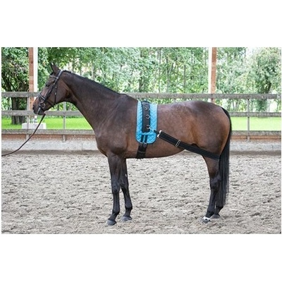 Harrys Horse Elastická pomôcka na lonžovanie koňa