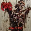The missing link - Rage CD