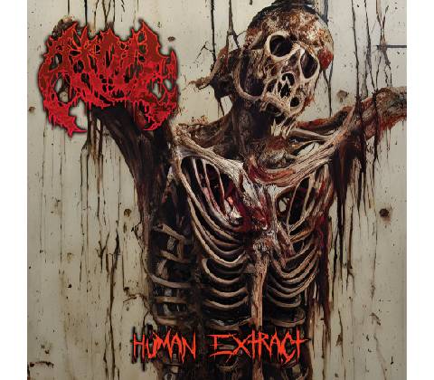 The missing link - Rage CD